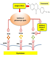 Jundishapur J Nat Pharm Prod